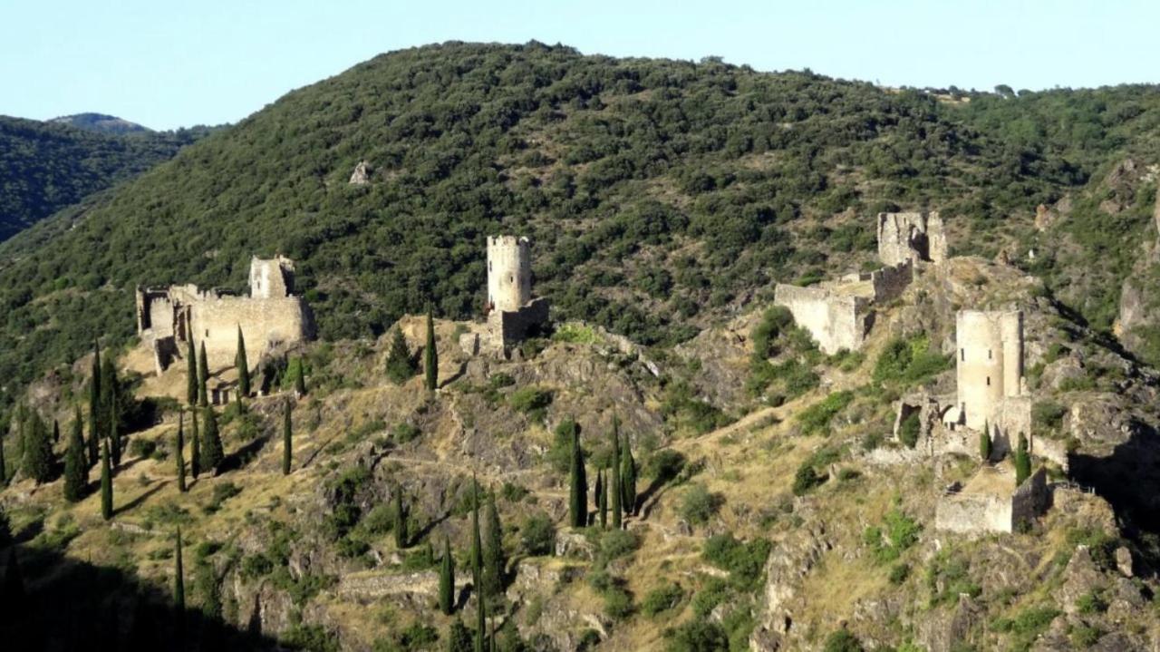La Maison De Leontine La Liviniere Exterior foto